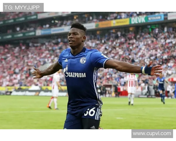 沙尔克04陷入德甲保级泥潭,形势危急待救援 沙尔克04陷入德甲保级泥潭,形势危急待救援